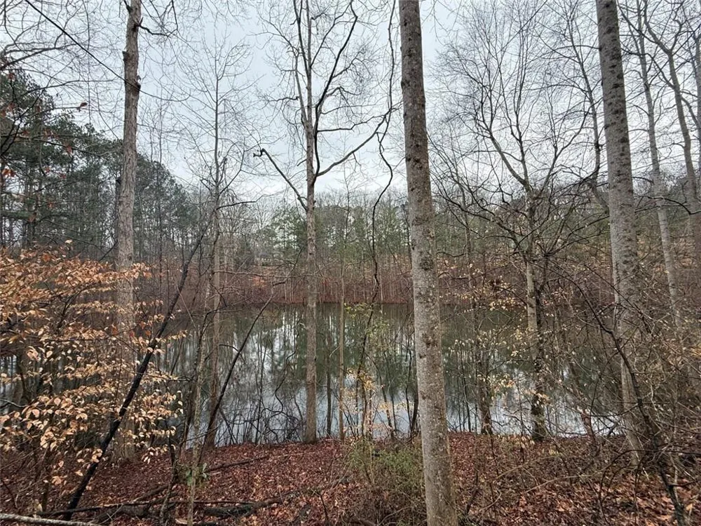 1666 Rock Springs Lane Woodstock, GA 30188