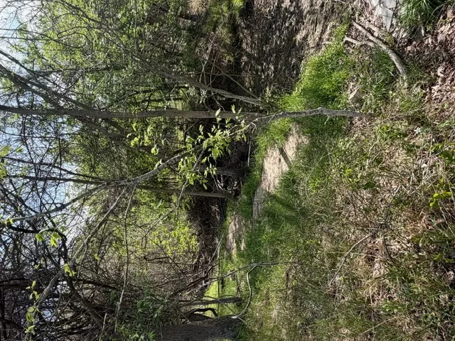 1235 Hoover Street Luling, TX 78648