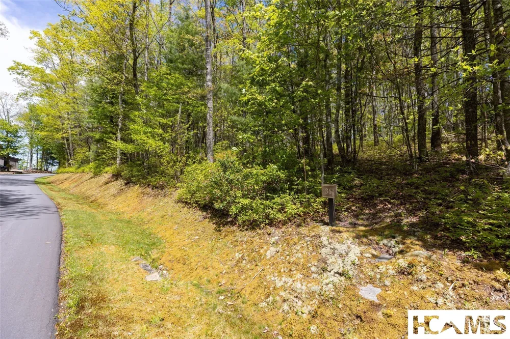 Lot 36 New Settler's Way Glenville, NC 28736
