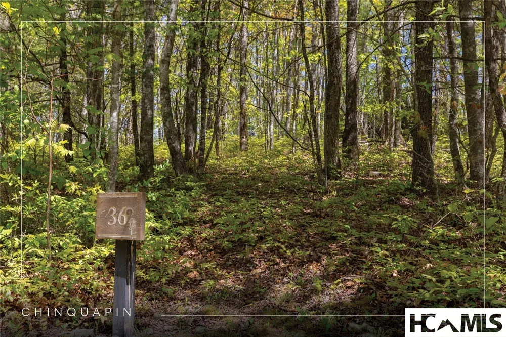 Lot 36 New Settler's Way Glenville, NC 28736