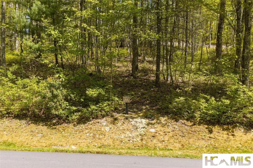 Lot 36 New Settler's Way Glenville, NC 28736