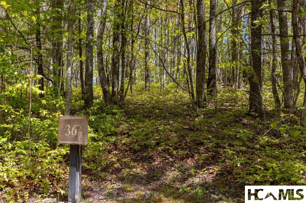 Lot 36 New Settler's Way Glenville, NC 28736