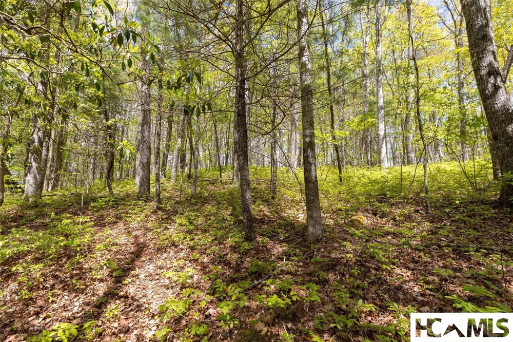 Lot 36 New Settler's Way Glenville, NC 28736