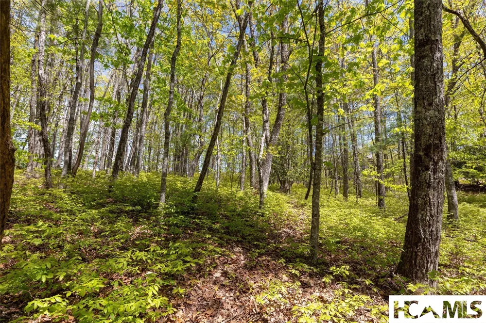 Lot 36 New Settler's Way Glenville, NC 28736