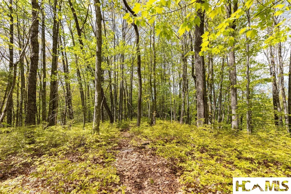 Lot 36 New Settler's Way Glenville, NC 28736