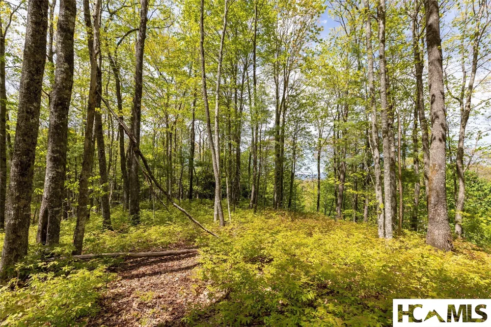 Lot 36 New Settler's Way Glenville, NC 28736