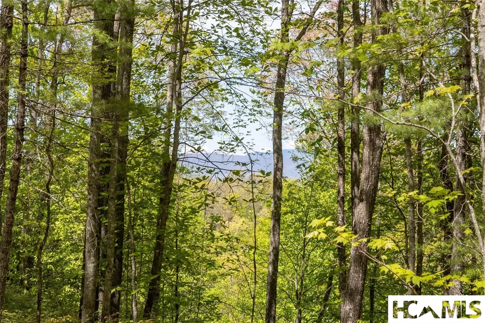 Lot 36 New Settler's Way Glenville, NC 28736
