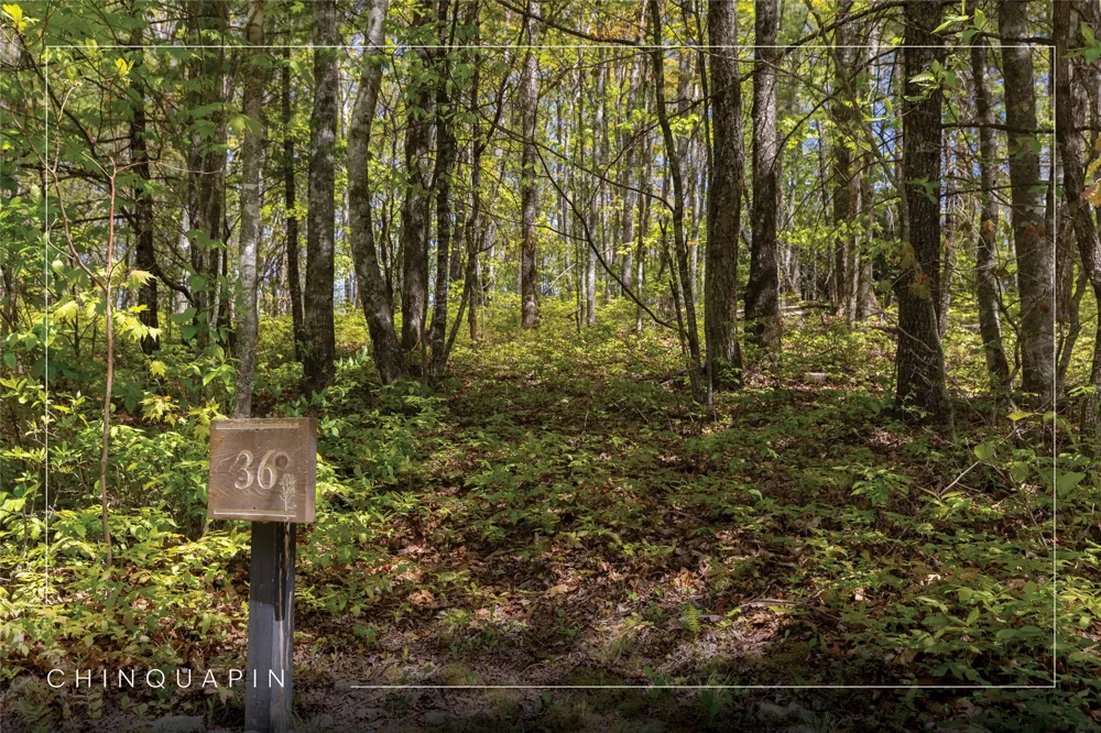 Lot 36 New Settler's Way Glenville, NC 28736