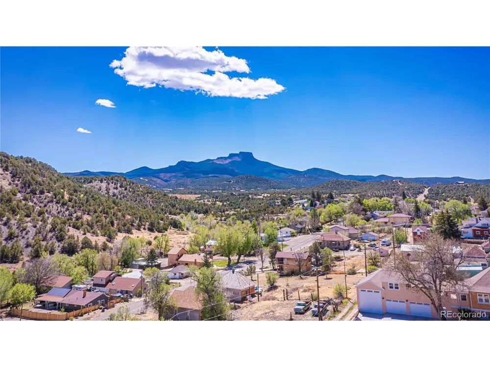 1008 Grant Avenue Trinidad, CO 81082