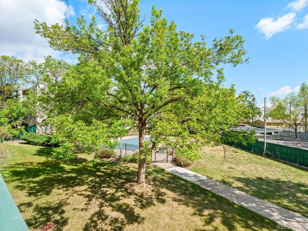7780 W 38th Avenue #204 Wheat Ridge, CO 80033