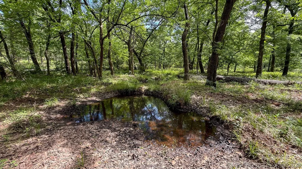 17436 Savage Road Pittsburg, OK 74560