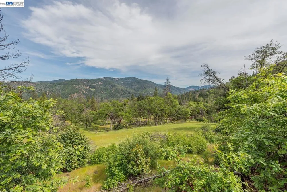 1780 Dutch Creek Rd Junction City, CA 96048
