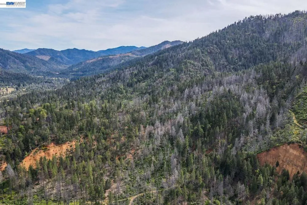 1780 Dutch Creek Rd Junction City, CA 96048