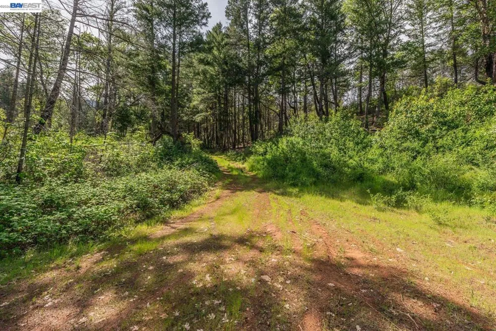 1780 Dutch Creek Rd Junction City, CA 96048