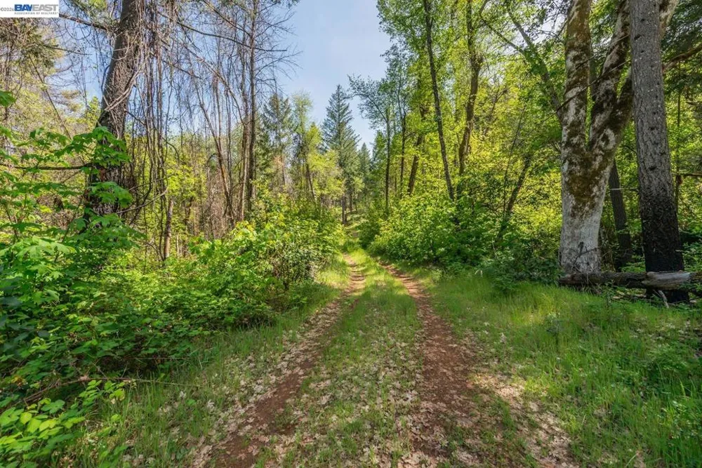 1780 Dutch Creek Rd Junction City, CA 96048