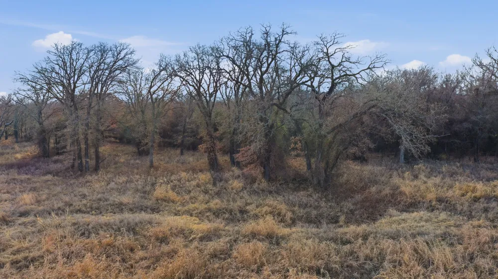 633 Stallion Meadows Drive Perrin, TX 76486