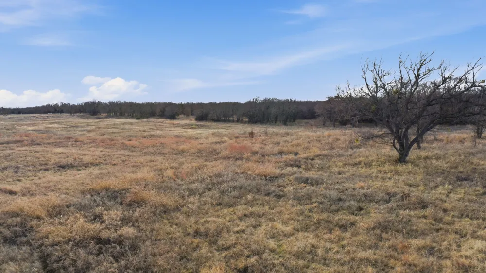 633 Stallion Meadows Drive Perrin, TX 76486