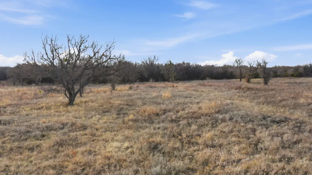 633 Stallion Meadows Drive Perrin, TX 76486