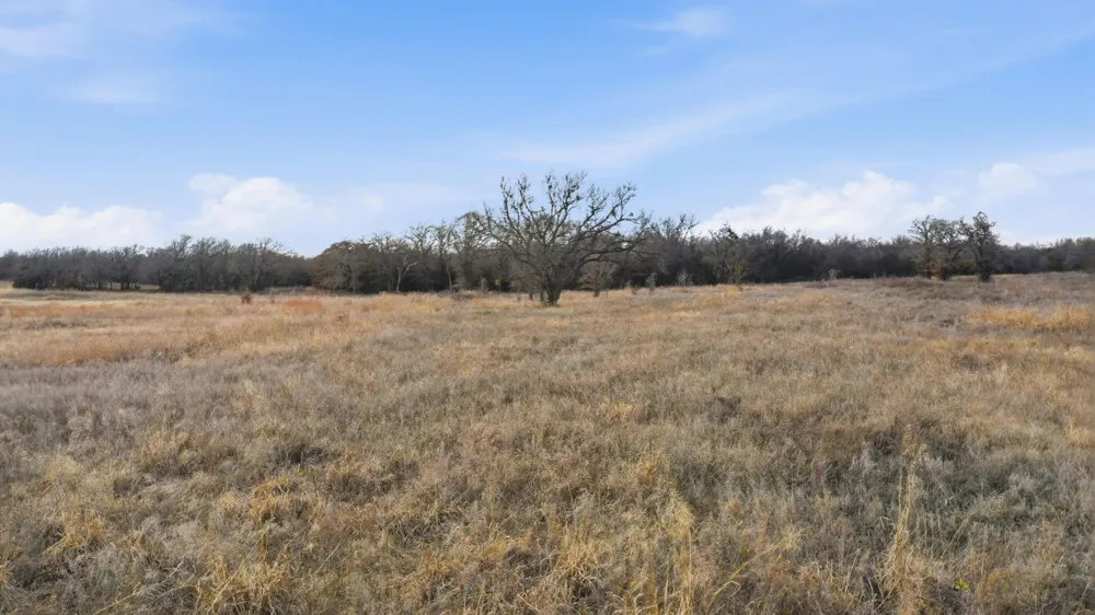 633 Stallion Meadows Drive Perrin, TX 76486