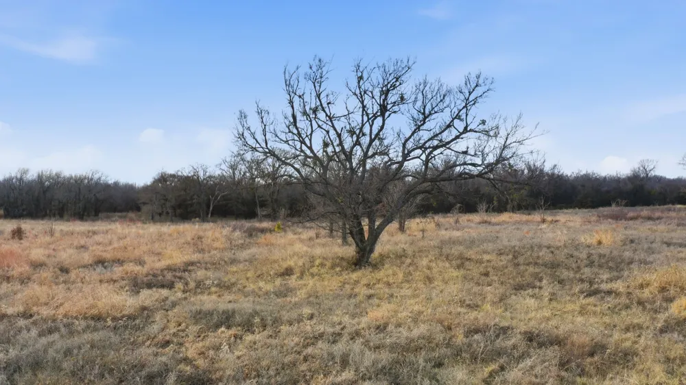 633 Stallion Meadows Drive Perrin, TX 76486