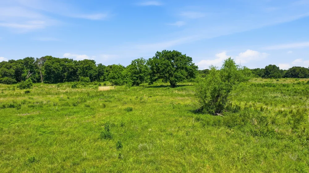 633 Stallion Meadows Drive Perrin, TX 76486
