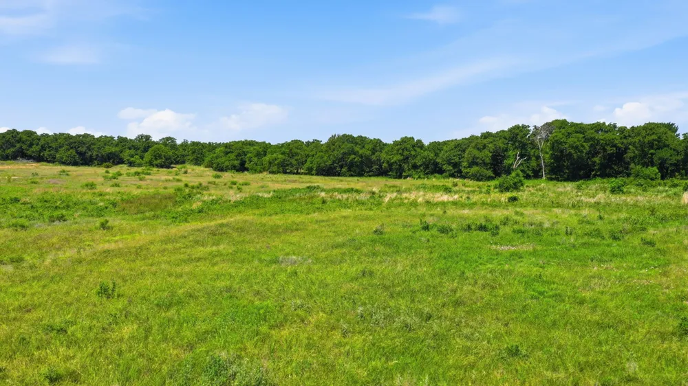 633 Stallion Meadows Drive Perrin, TX 76486
