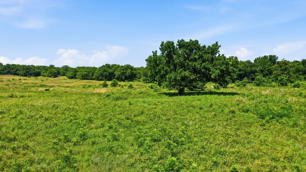 633 Stallion Meadows Drive Perrin, TX 76486