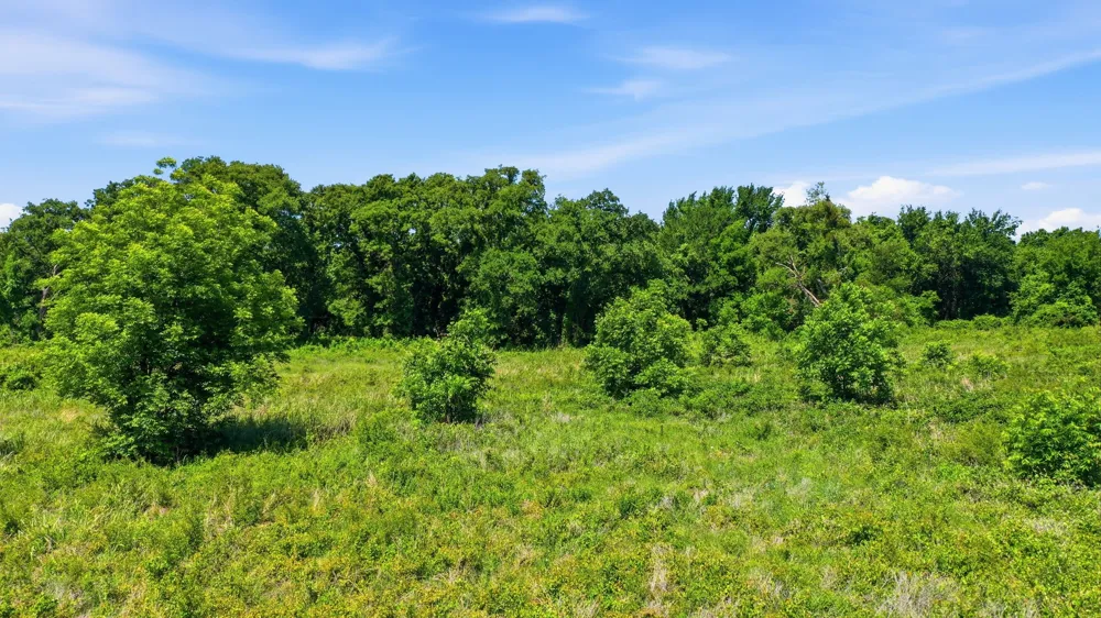 633 Stallion Meadows Drive Perrin, TX 76486