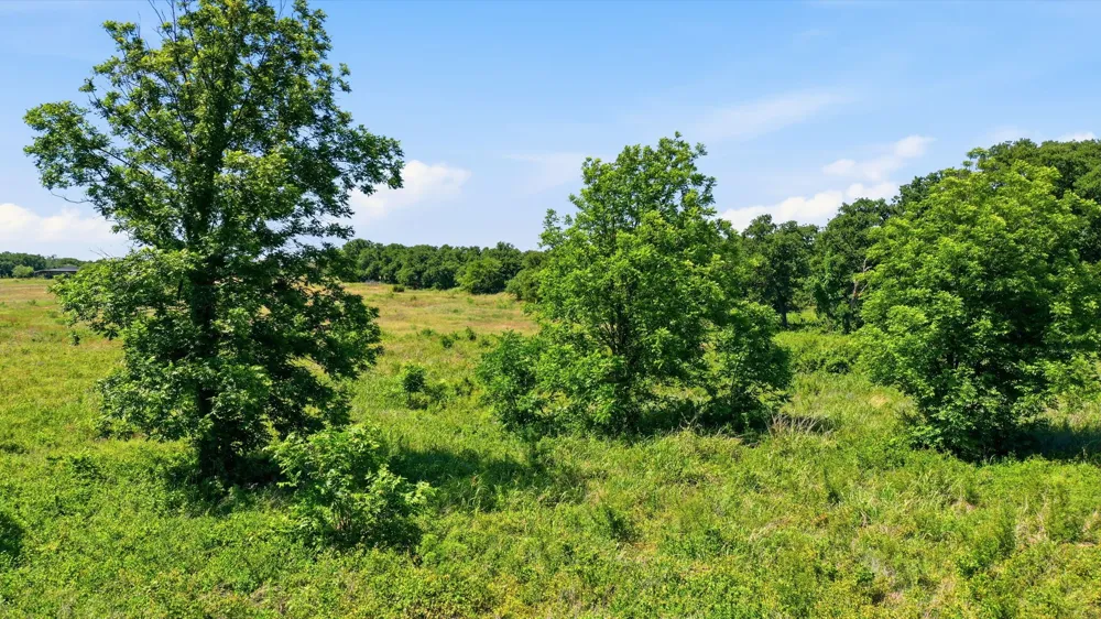 633 Stallion Meadows Drive Perrin, TX 76486