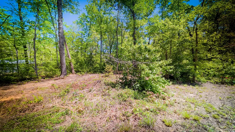 506 Dollar Dr Altamont, TN 37301