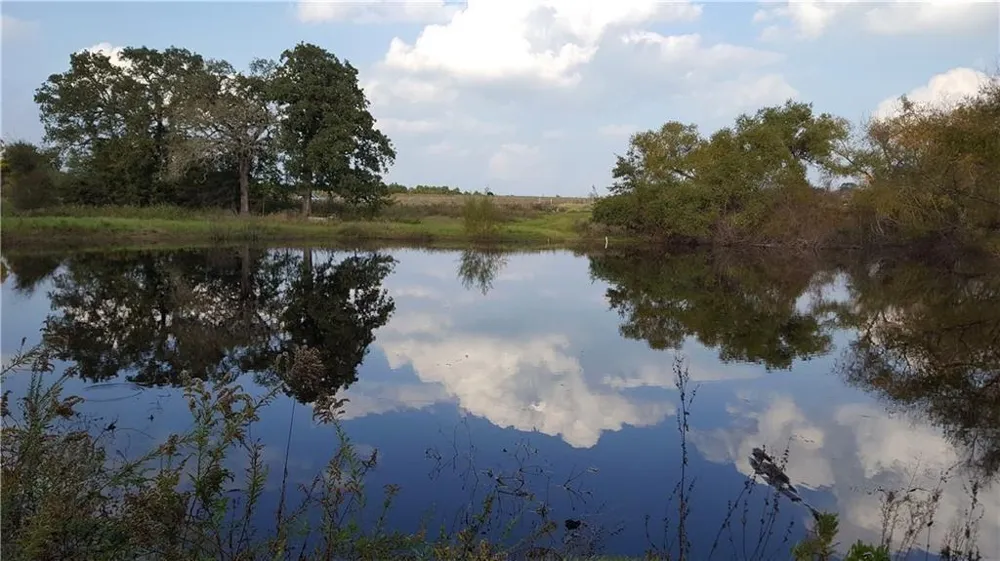 187 Cedar Creek Drive Cedar Creek, TX 78612