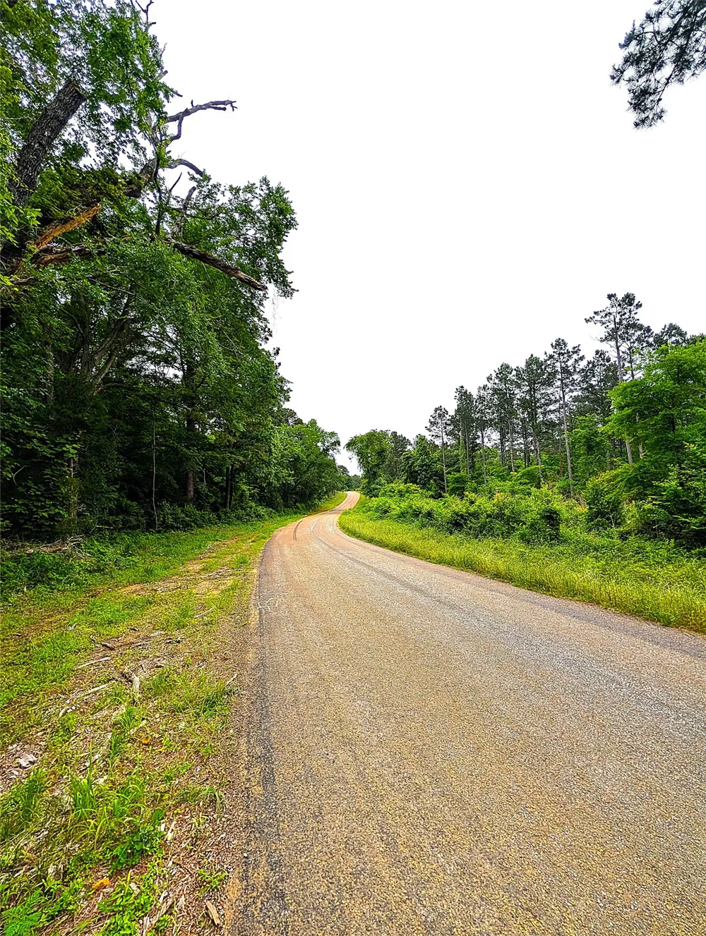 1931 County Road 4101 Jacksonville, TX 75766