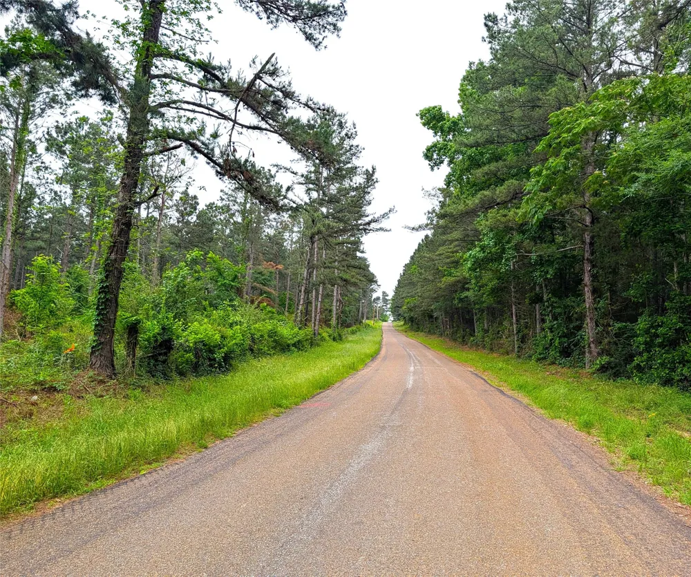 1931 County Road 4101 Jacksonville, TX 75766