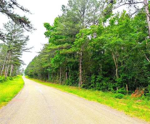 1931 County Road 4101