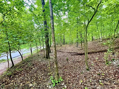 8128 W Clear Creek Road