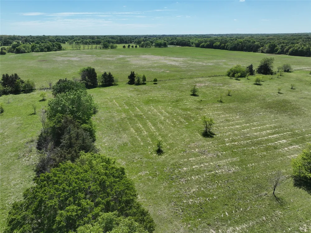 1 County Road 2145 Telephone, TX 75488
