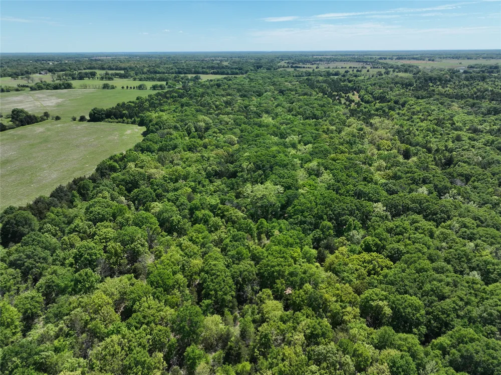 1 County Road 2145 Telephone, TX 75488