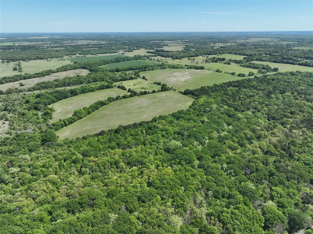 1 County Road 2145 Telephone, TX 75488