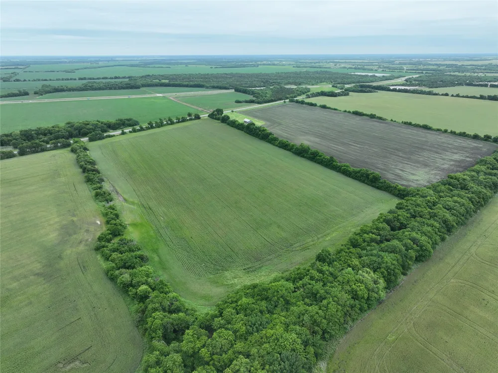 HWY 56 Highway Honey Grove, TX 75446