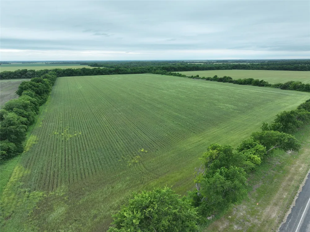 HWY 56 Highway Honey Grove, TX 75446