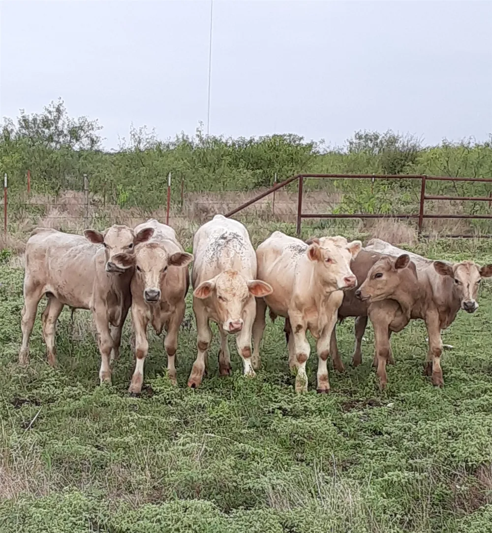 2276 Hodge Moody, TX 76557