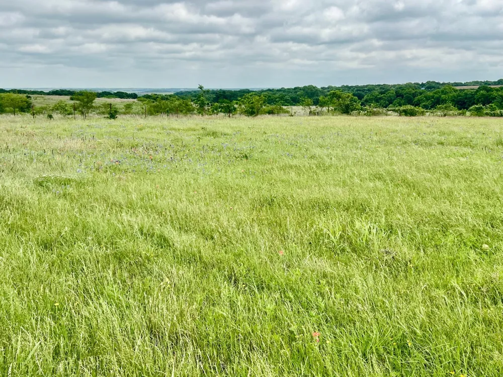 2276 Hodge Moody, TX 76557