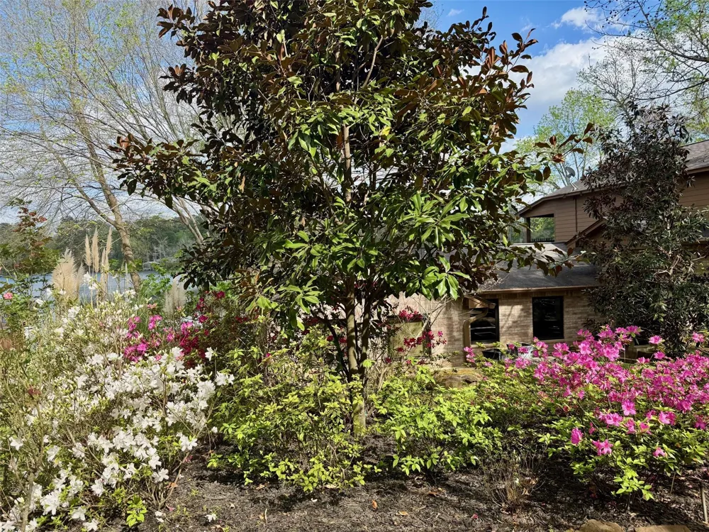 204 Yellow Creek Trail Crockett, TX 75835
