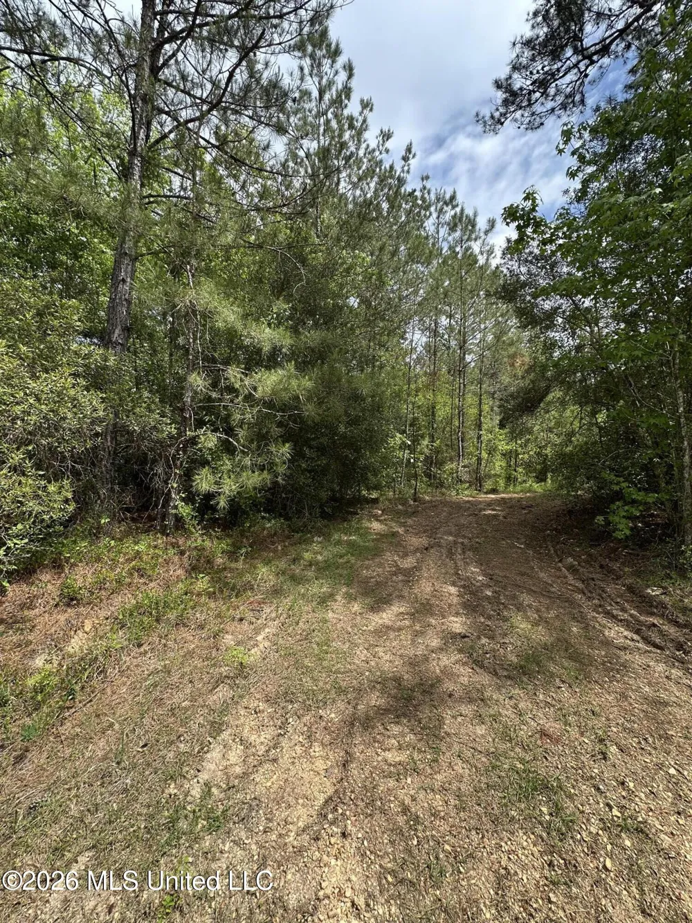 1873 F E Sellers Highway Monticello, MS 39654