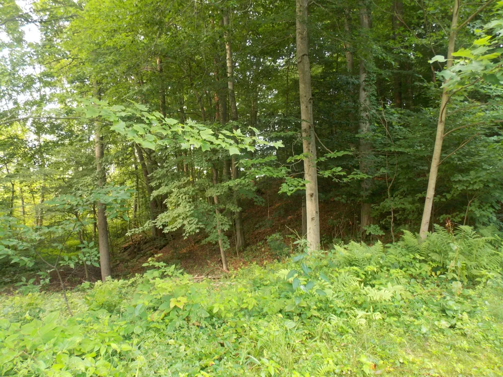 10 Long Lake Drive Cassopolis, MI 49031