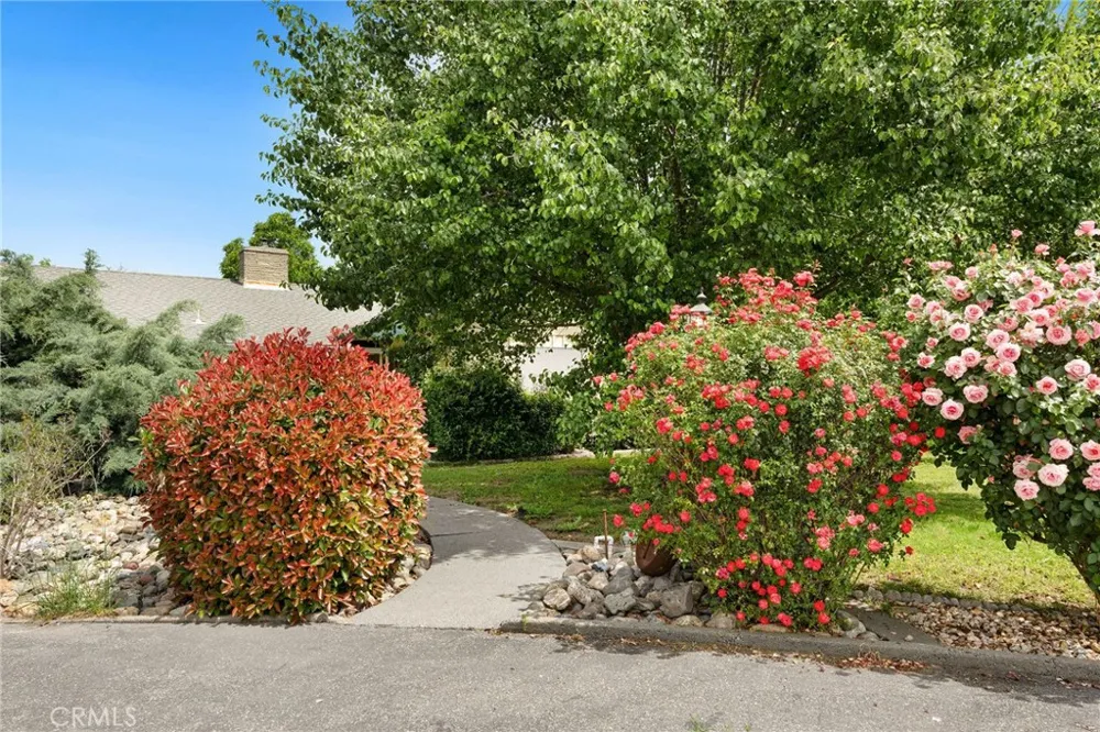 7012 State Highway 32 Orland, CA 95963