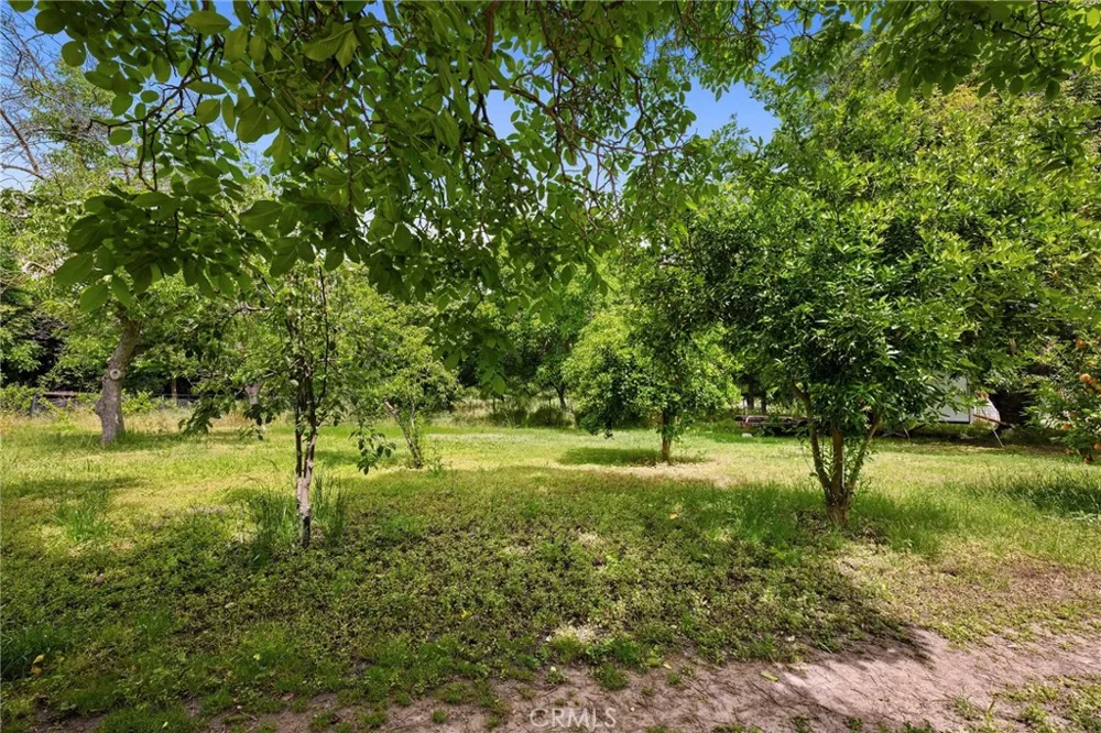 7012 State Highway 32 Orland, CA 95963