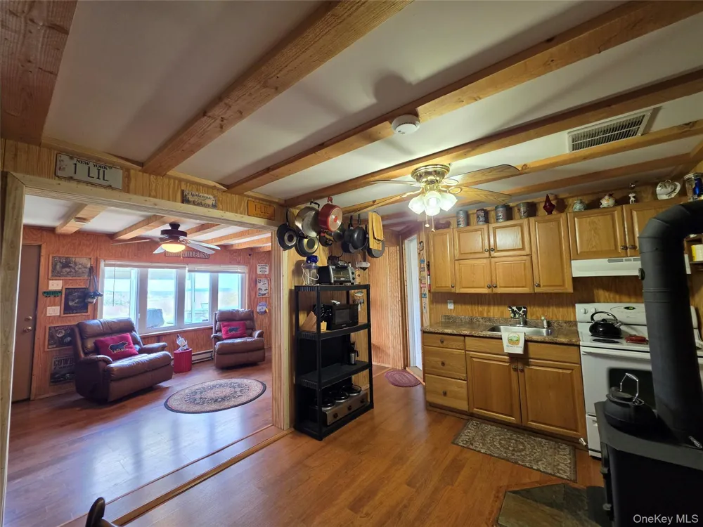 48 Mullen Road Parksville, NY 12768