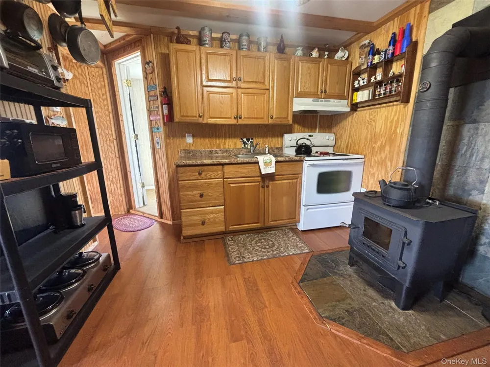 48 Mullen Road Parksville, NY 12768