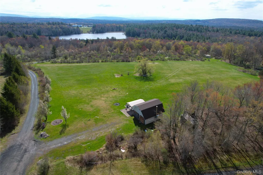 48 Mullen Road Parksville, NY 12768